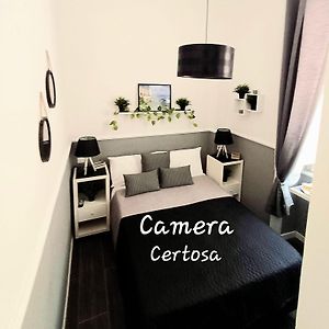 Habitación Cuádruple Superior